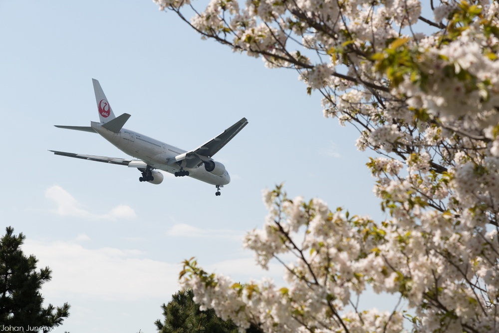 Plane Image
